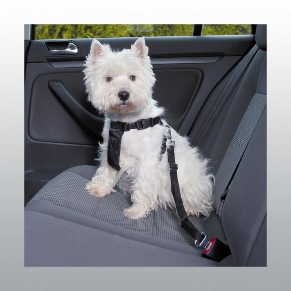 Pet Safety Harness