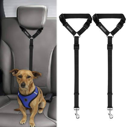 Pet Safety Harness