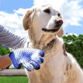 Pet Hair Removal Glove