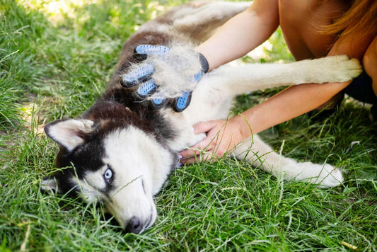 Pet Hair Removal Glove