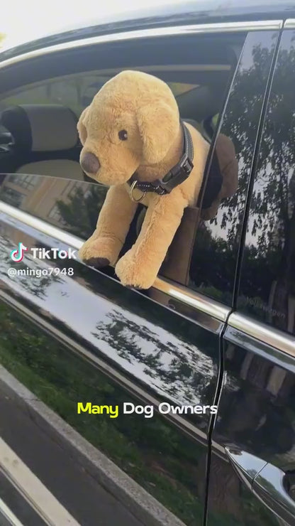 Pet Safety Harness