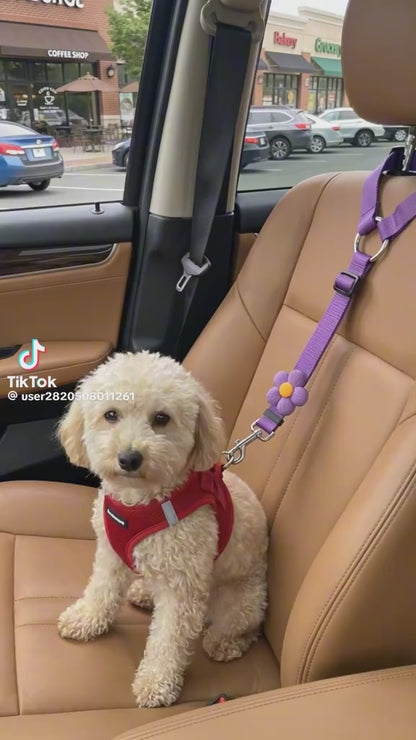 Pet Safety Harness
